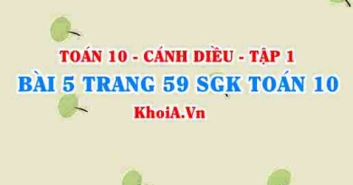 Bài 5 trang 59 SGK Toán 10 tập 1 Cánh Diều